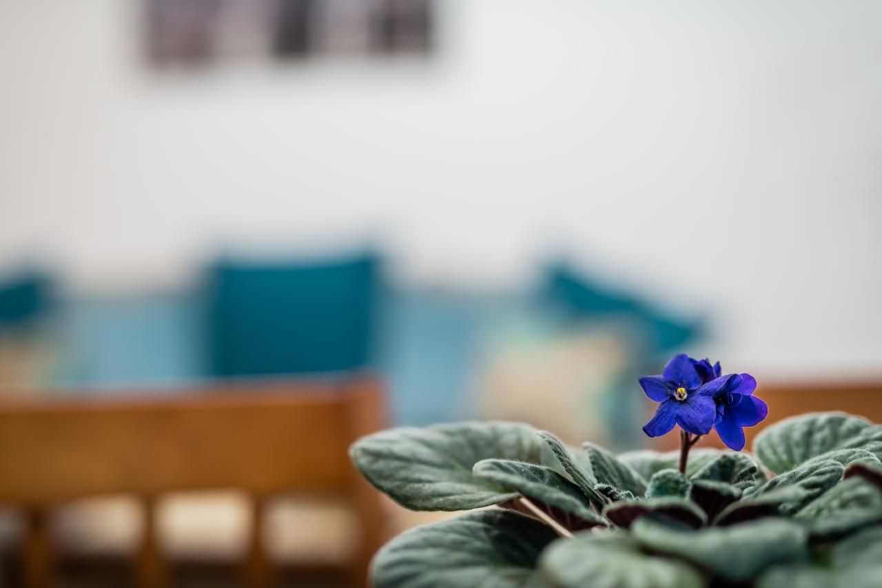 Apartamenty Bosacka Wawelofts Krakkó Kültér fotó